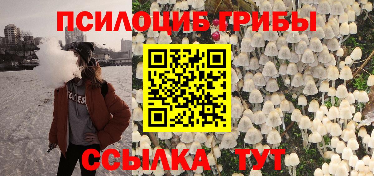 Осинники  Псилоцибиновые грибы MAGIC MUSHROOMS  Галлюциногенные грибы мухоморы  Вход с VPN 