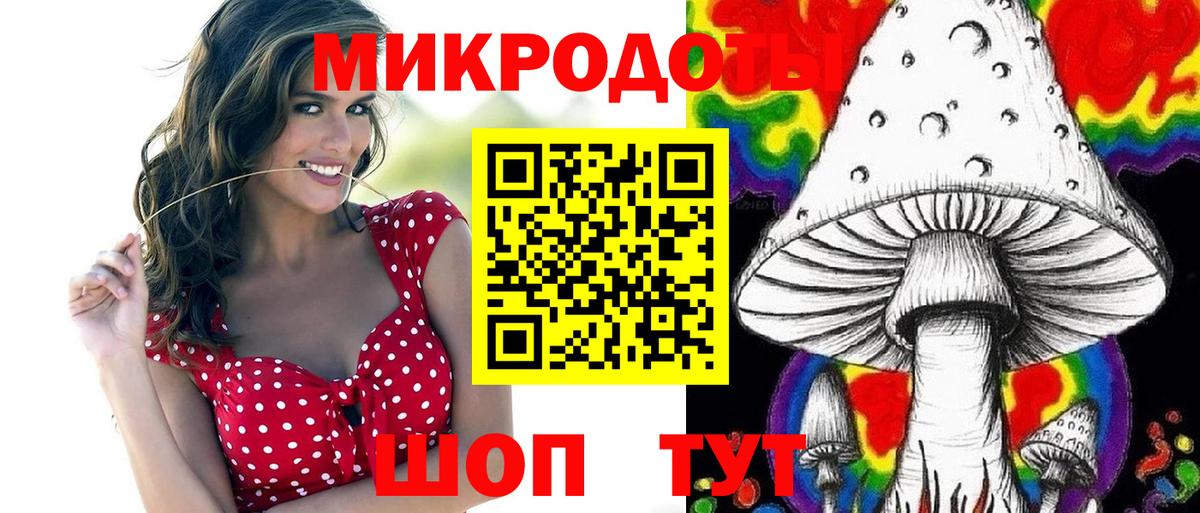 ГАШ Осинники